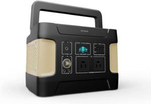 PowerZ Pro 600